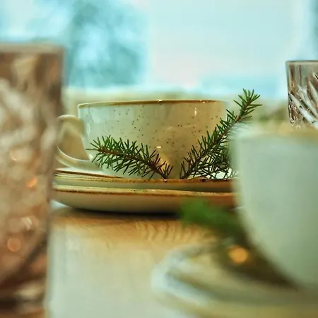 Prázdninový dům Auroras Poro *